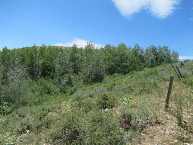 #124, Montpelier, ID 83254 — photo 3