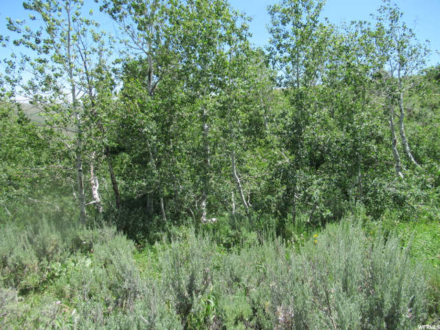 #124, Montpelier, ID 83254 — photo 4