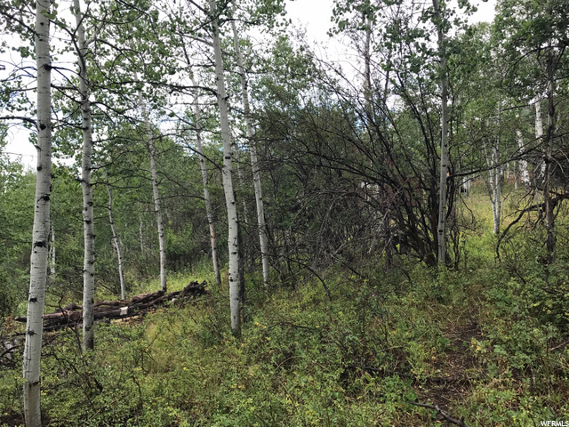 135 Camanche Pass #135, Oakley, UT 84055 — photo 8