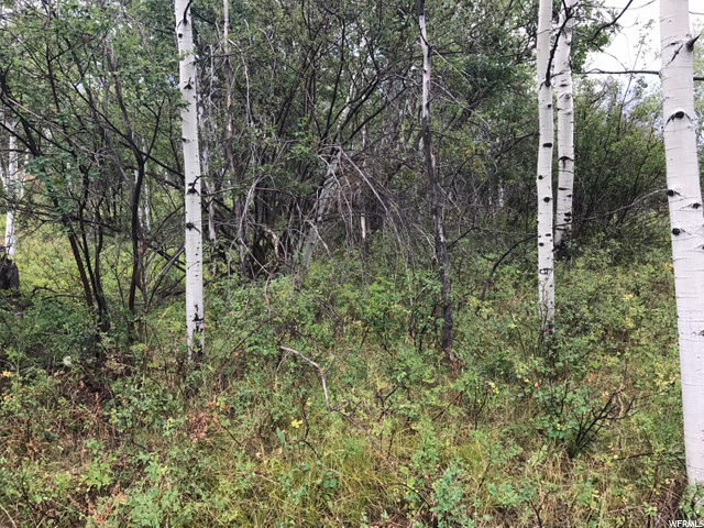135 Camanche Pass #135, Oakley, UT 84055 — photo 6
