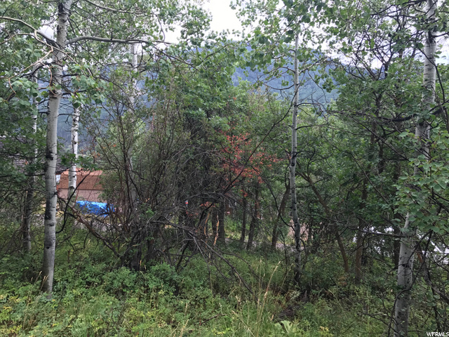 135 Camanche Pass #135, Oakley, UT 84055 — photo 7