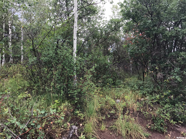 135 Camanche Pass #135, Oakley, UT 84055 — photo 4