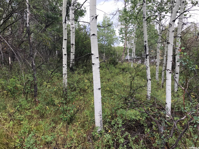 135 Camanche Pass #135, Oakley, UT 84055 — photo 12