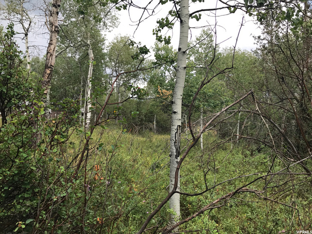 135 Camanche Pass #135, Oakley, UT 84055 — photo 10