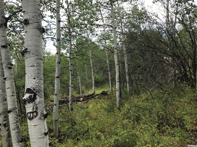 135 Camanche Pass #135, Oakley, UT 84055 — photo 5