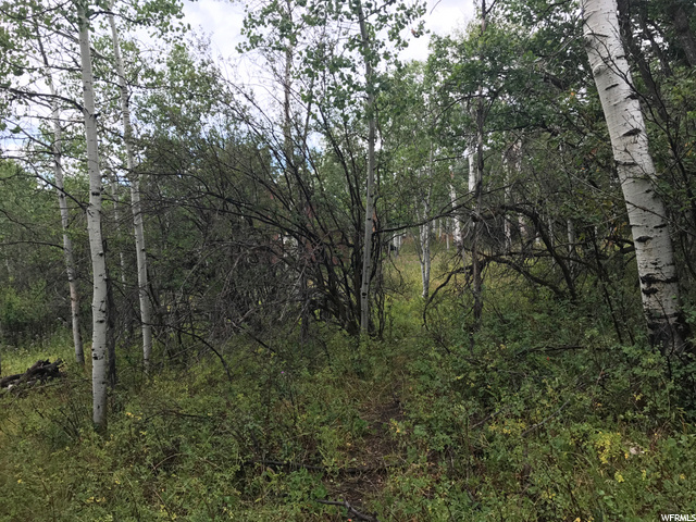 135 Camanche Pass #135, Oakley, UT 84055 — photo 2