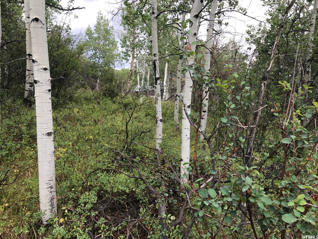 135 Camanche Pass #135, Oakley, UT 84055 — photo 11