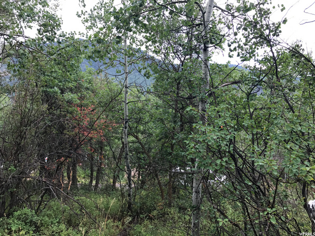 135 Camanche Pass #135, Oakley, UT 84055 — photo 3