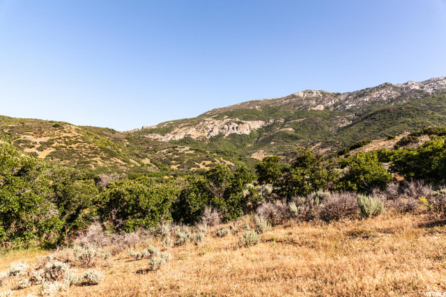74 W Three Falls Ridge #13, Alpine, UT 84004 — photo 11