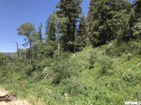 2353 Pine Dr #C-61, Wanship, UT 84017 — photo 5