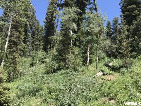 2353 Pine Dr #C-61, Wanship, UT 84017 — photo 3