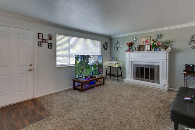 586 E 10315 S, Sandy, UT 84070 — photo 4