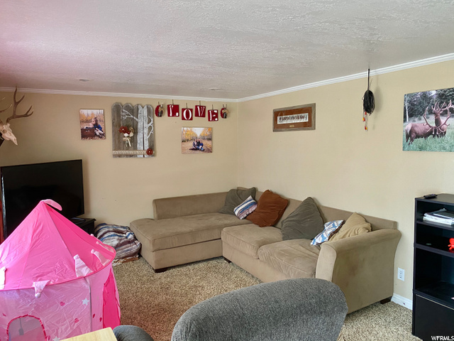 10891 E 7200th N, Lapoint, UT 84039 — photo 3
