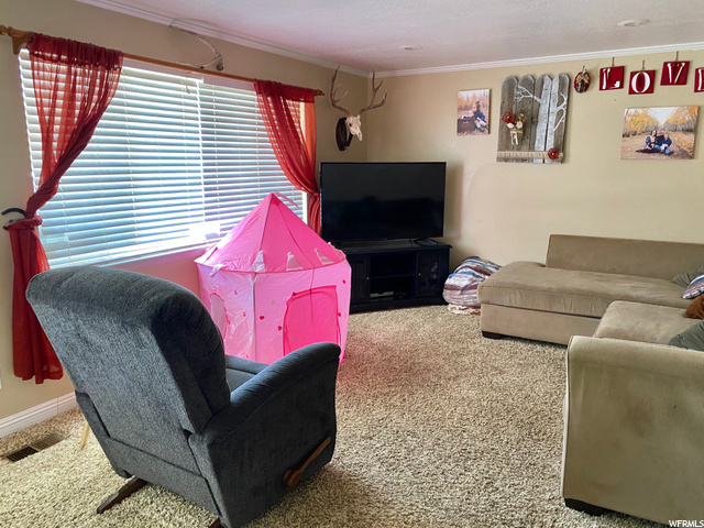 10891 E 7200th N, Lapoint, UT 84039 — photo 2