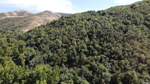 Bountiful, UT 84010 — photo 4