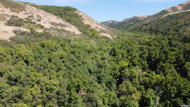 Bountiful, UT 84010 — photo 3