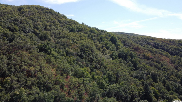 Bountiful, UT 84010 — photo 10