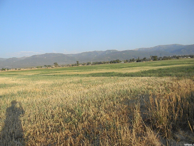 8900 E 15500 N, Spring City, UT 84662 — photo 5