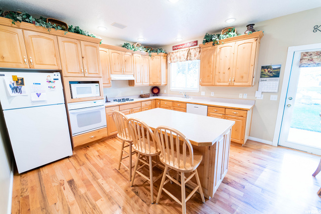 1809 E 1815 N, North Logan, UT 84341 — photo 6