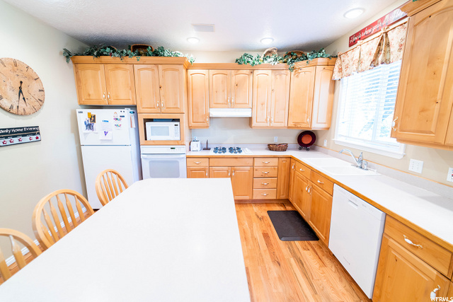 1809 E 1815 N, North Logan, UT 84341 — photo 8