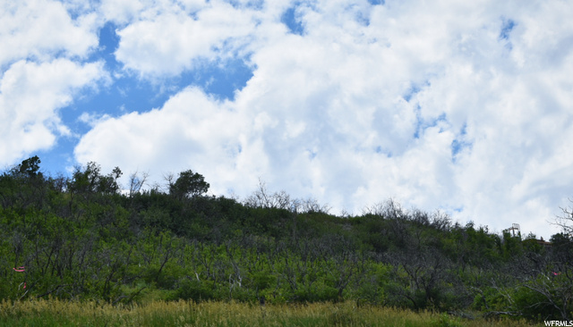 159 Oakview #159, Coalville, UT 84017 — photo 4