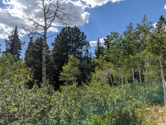 1 Tucker, Fairview, UT 84629 — photo 10