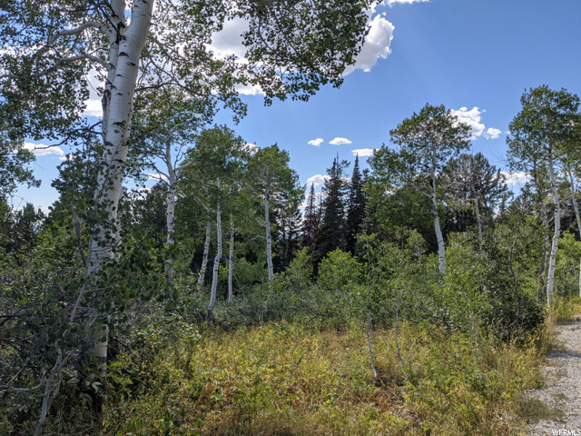 1 Tucker, Fairview, UT 84629 — photo 7