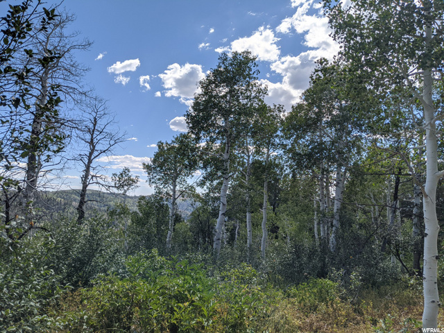 1 Tucker, Fairview, UT 84629 — photo 5