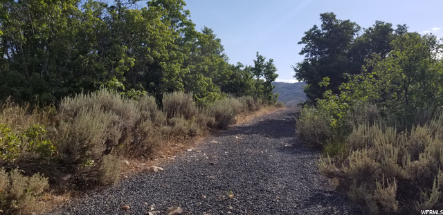 #100, Huntsville, UT 84317 — photo 5