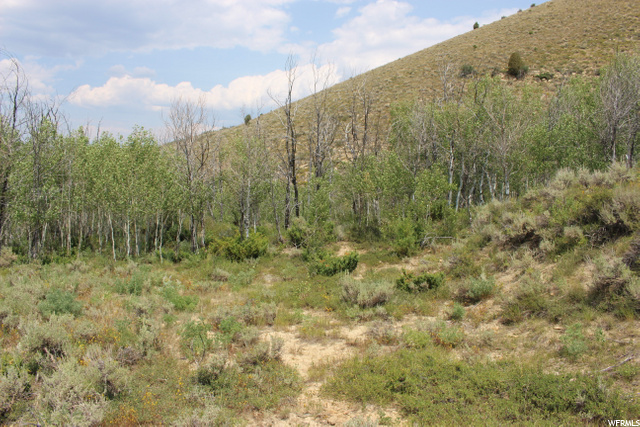 #24, Scofield, UT 84526 — photo 6