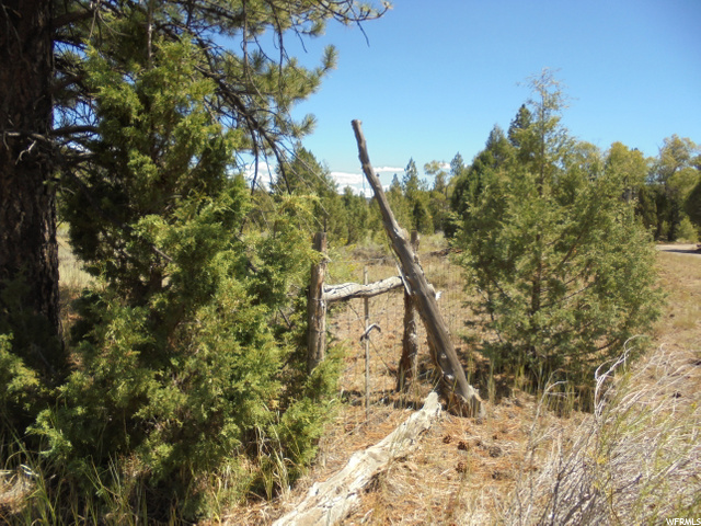 Hatch, UT 84735 — photo 12