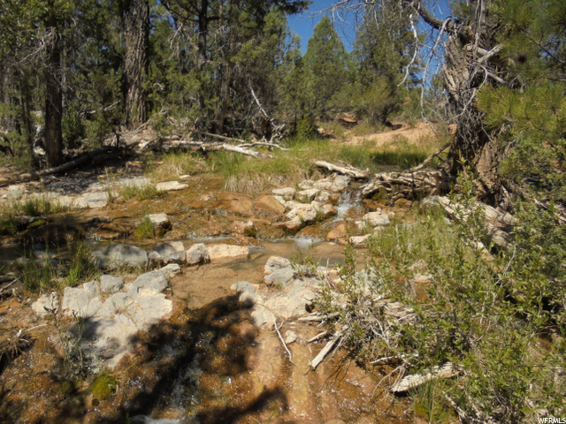 Hatch, UT 84735 — photo 8