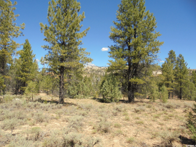 Hatch, UT 84735 — photo 10