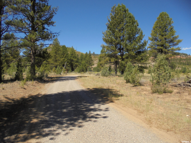 Hatch, UT 84735 — photo 2