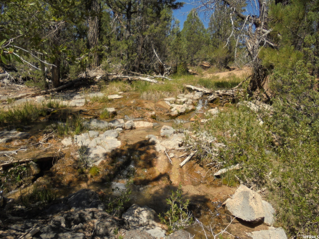 Hatch, UT 84735 — photo 7