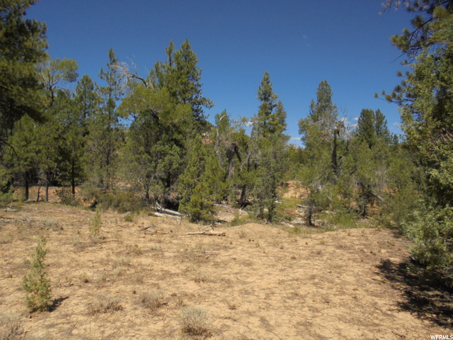 Hatch, UT 84735 — photo 9