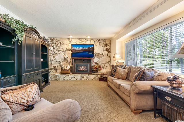 893 S Alpine Hwy, Alpine, UT 84004 — photo 3