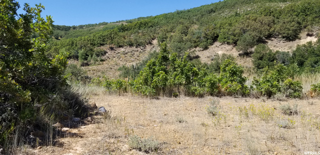 #140, Huntsville, UT 84317 — photo 12