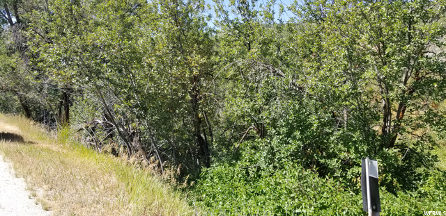 #140, Huntsville, UT 84317 — photo 5