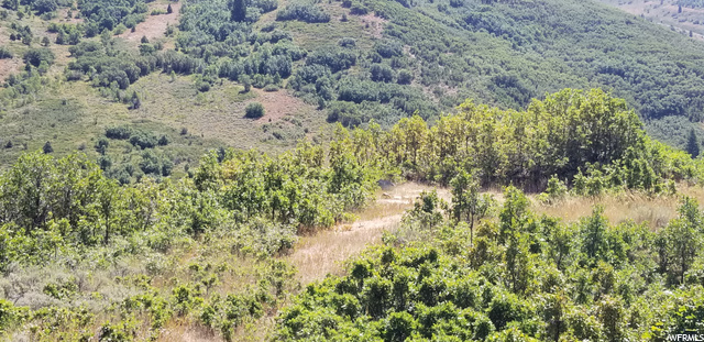 #140, Huntsville, UT 84317 — photo 10