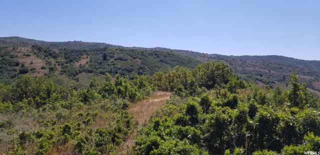 #140, Huntsville, UT 84317 — photo 11