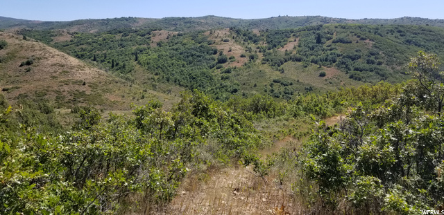 #140, Huntsville, UT 84317 — photo 9