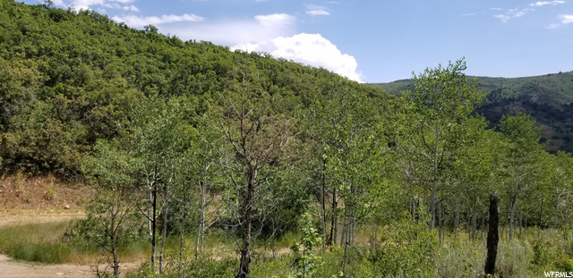 #124, Huntsville, UT 84317 — photo 5