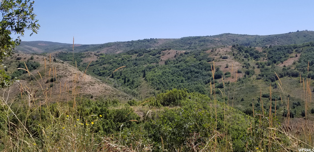 #124, Huntsville, UT 84317 — photo 3
