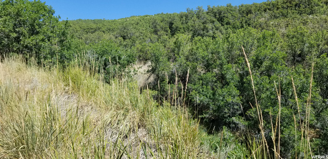 #124, Huntsville, UT 84317 — photo 4