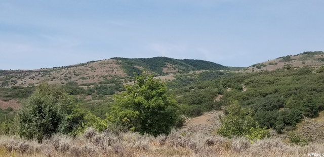#87, Huntsville, UT 84317 — photo 10