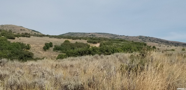 #87, Huntsville, UT 84317 — photo 11