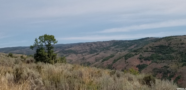 #87, Huntsville, UT 84317 — photo 9