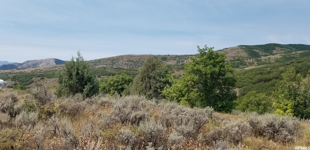 #87, Huntsville, UT 84317 — photo 8
