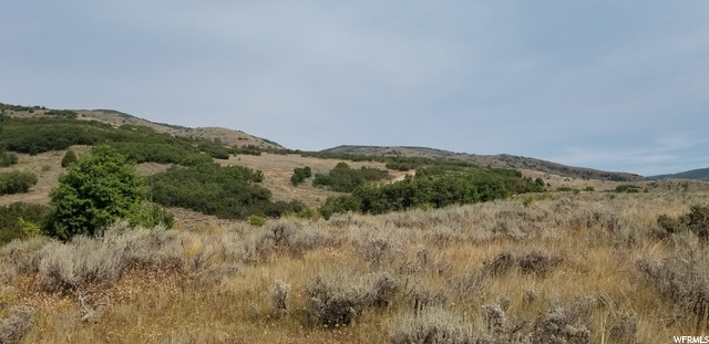 #87, Huntsville, UT 84317 — photo 4